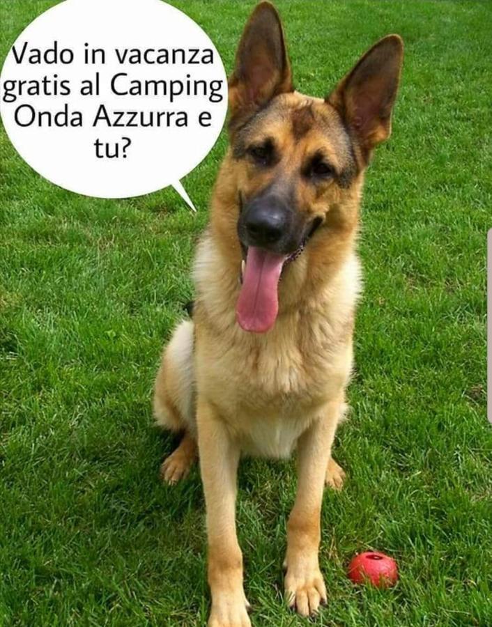 Camping Onda Azzurra Ξενοδοχείο Ortona Εξωτερικό φωτογραφία