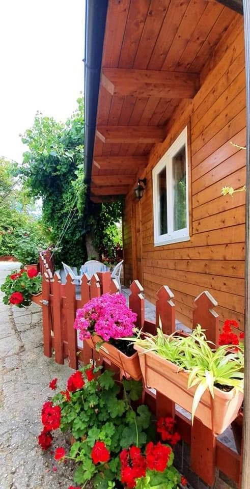 Camping Onda Azzurra Ξενοδοχείο Ortona Εξωτερικό φωτογραφία